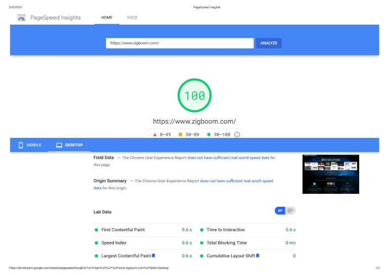 Zigboom Designs score 100 at Google PageSpeed Insights speed test